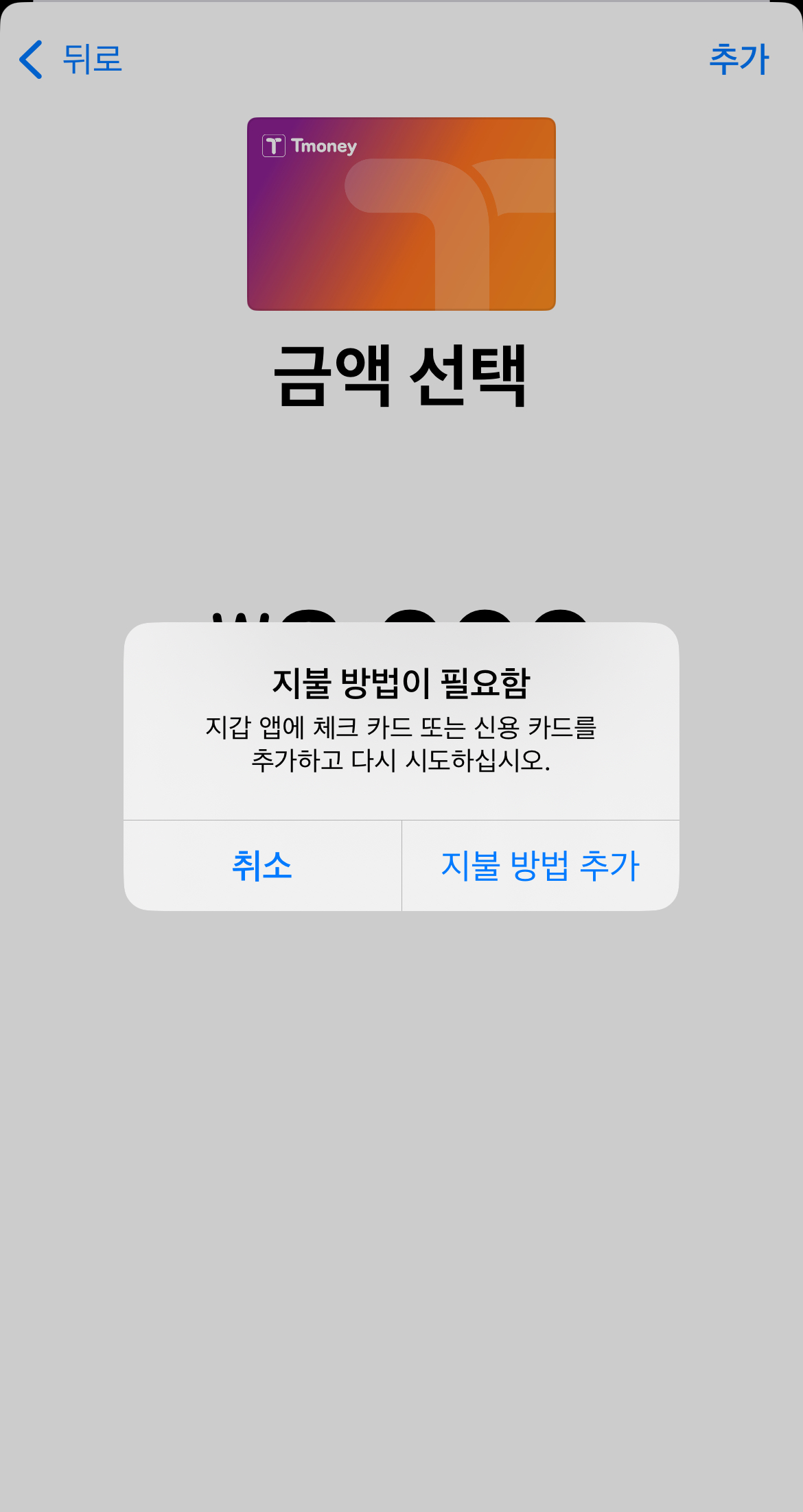 아이폰티머니 설치방법 8단계