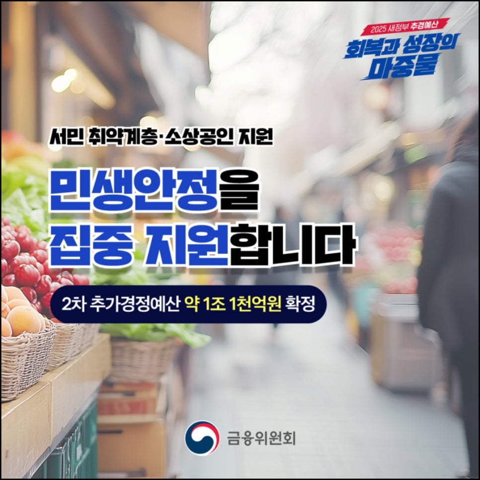 2025 민생지원금 정책 개요