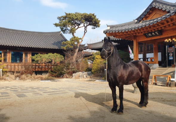 임주리 단골집