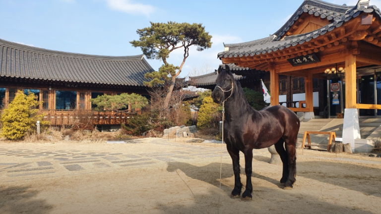 임주리 단골집
