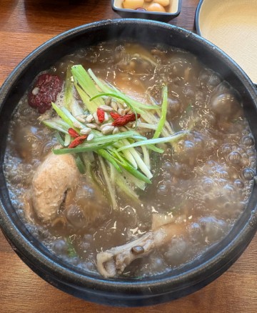 초애삼계탕