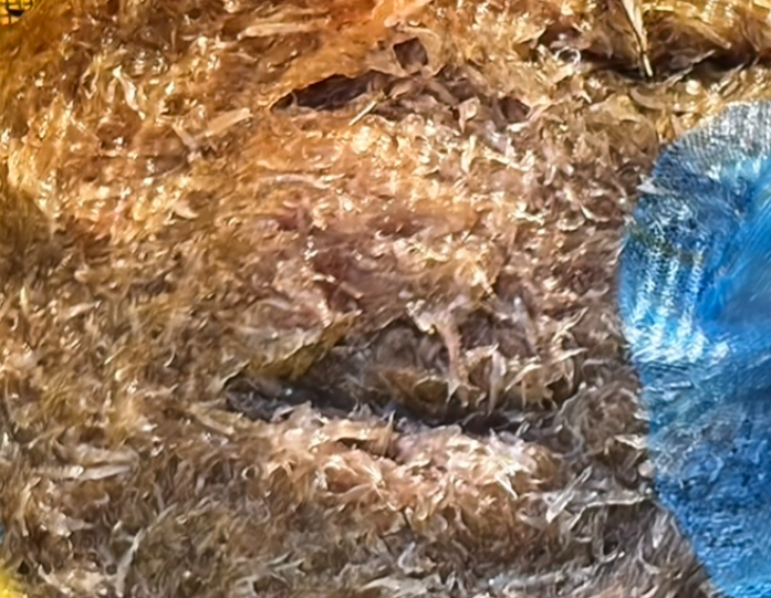 서해안식당