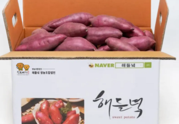 해들녘고구마